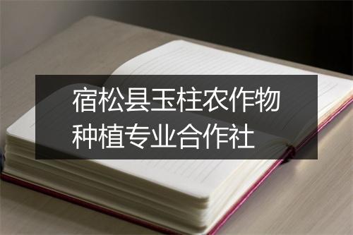 宿松县玉柱农作物种植专业合作社