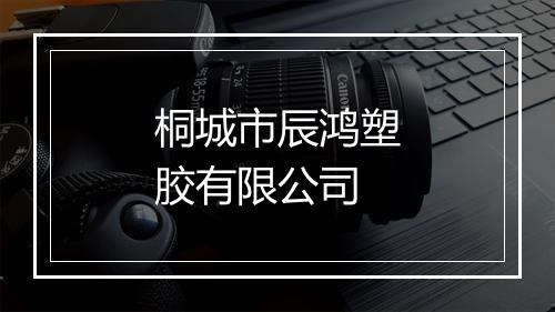桐城市辰鸿塑胶有限公司