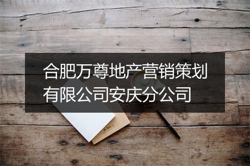 合肥万尊地产营销策划有限公司安庆分公司