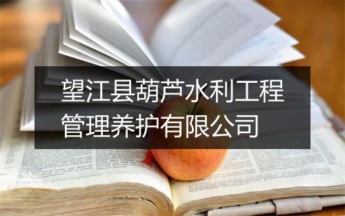 望江县葫芦水利工程管理养护有限公司