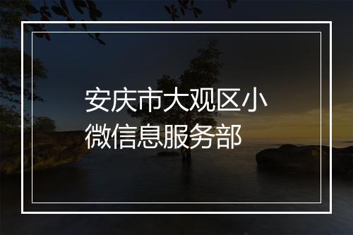 安庆市大观区小微信息服务部