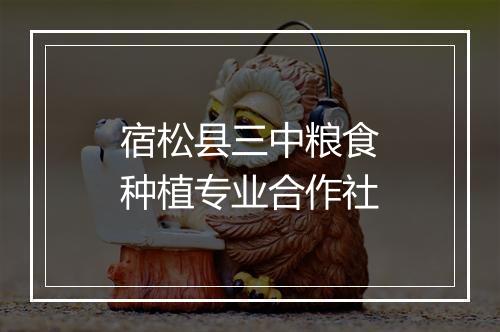 宿松县三中粮食种植专业合作社