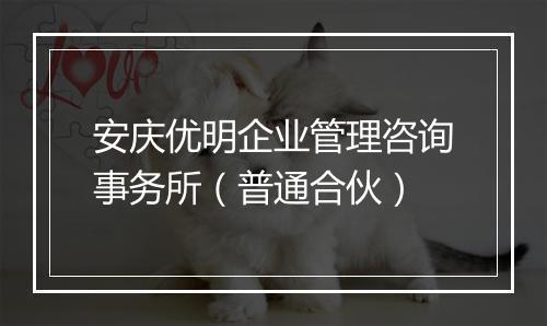 安庆优明企业管理咨询事务所（普通合伙）
