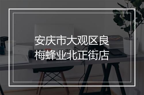 安庆市大观区良梅蜂业北正街店