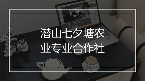 潜山七夕塘农业专业合作社