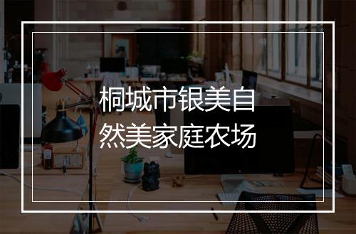 桐城市银美自然美家庭农场