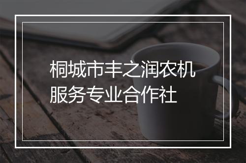 桐城市丰之润农机服务专业合作社