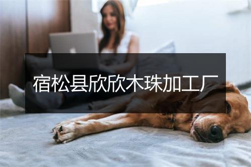 宿松县欣欣木珠加工厂