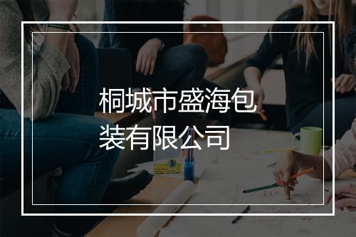 桐城市盛海包装有限公司