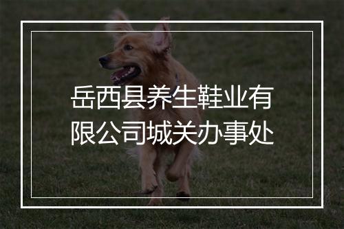 岳西县养生鞋业有限公司城关办事处