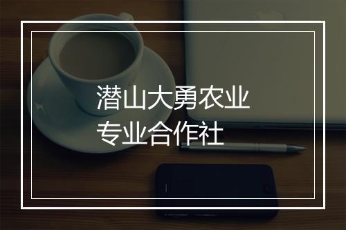 潜山大勇农业专业合作社
