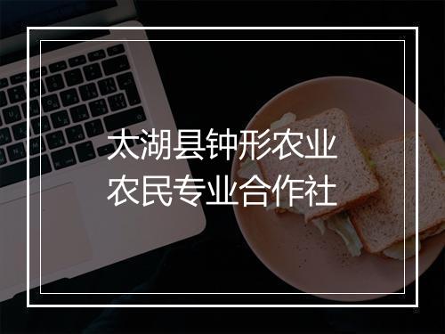 太湖县钟形农业农民专业合作社