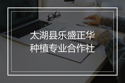 太湖县乐盛正华种植专业合作社