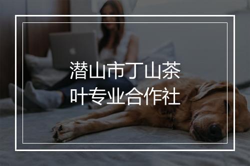 潜山市丁山茶叶专业合作社