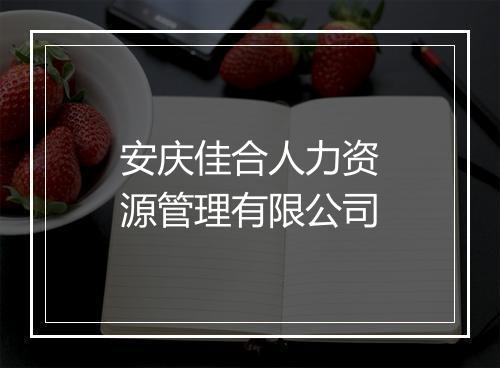 安庆佳合人力资源管理有限公司