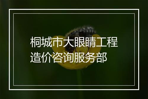 桐城市大眼睛工程造价咨询服务部