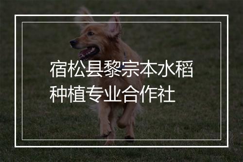 宿松县黎宗本水稻种植专业合作社