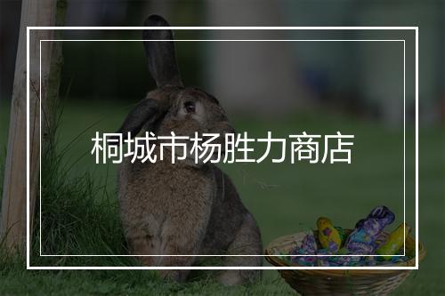 桐城市杨胜力商店