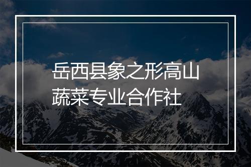 岳西县象之形高山蔬菜专业合作社