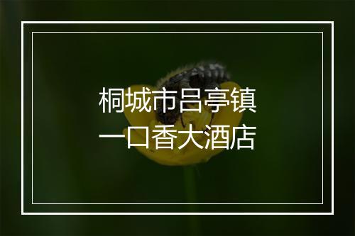 桐城市吕亭镇一口香大酒店