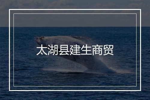 太湖县建生商贸