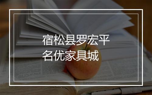 宿松县罗宏平名优家具城