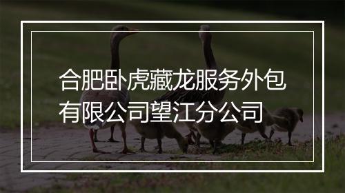 合肥卧虎藏龙服务外包有限公司望江分公司