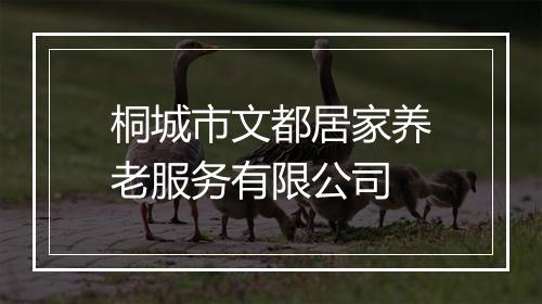 桐城市文都居家养老服务有限公司