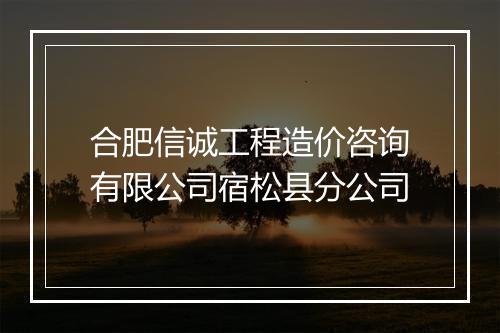 合肥信诚工程造价咨询有限公司宿松县分公司