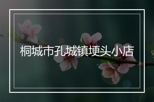 桐城市孔城镇埂头小店