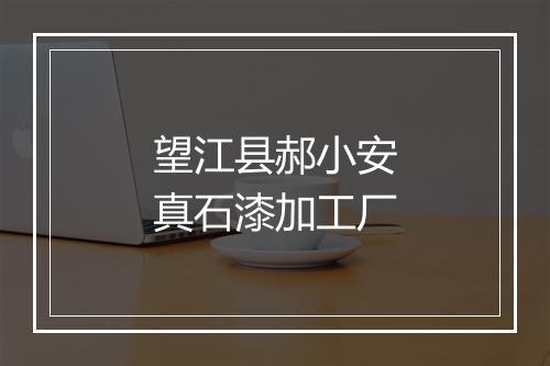 望江县郝小安真石漆加工厂