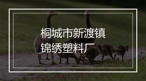 桐城市新渡镇锦绣塑料厂
