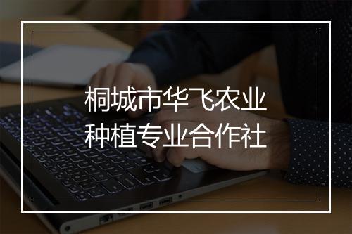 桐城市华飞农业种植专业合作社