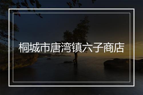 桐城市唐湾镇六子商店