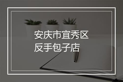 安庆市宜秀区反手包子店