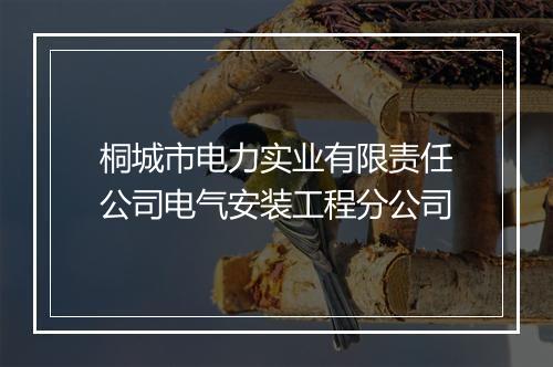 桐城市电力实业有限责任公司电气安装工程分公司
