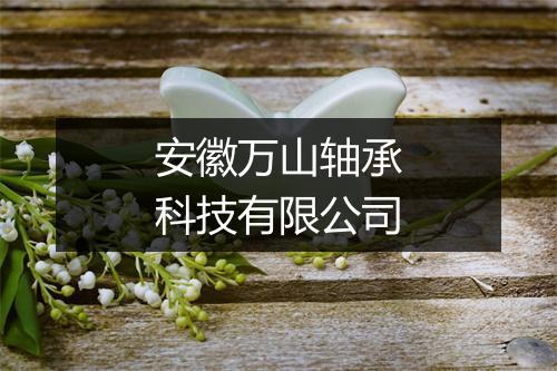 安徽万山轴承科技有限公司