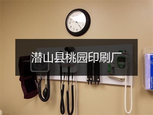 潜山县桃园印刷厂