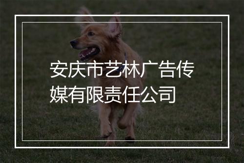 安庆市艺林广告传媒有限责任公司