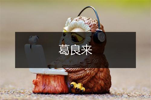 葛良来