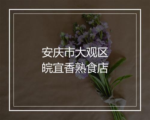 安庆市大观区皖宜香熟食店