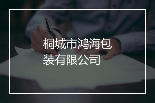 桐城市鸿海包装有限公司