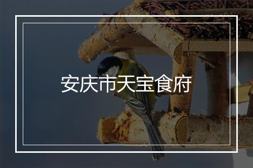 安庆市天宝食府