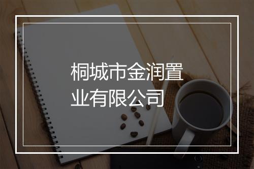 桐城市金润置业有限公司