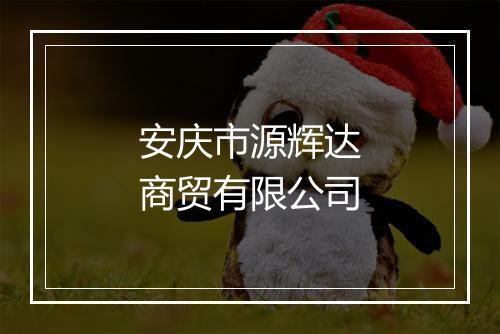 安庆市源辉达商贸有限公司