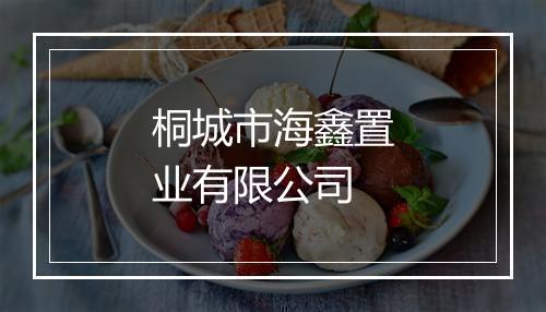 桐城市海鑫置业有限公司
