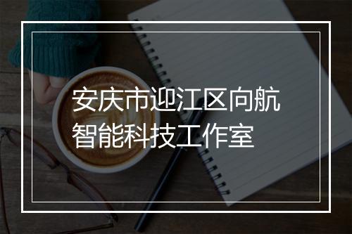 安庆市迎江区向航智能科技工作室