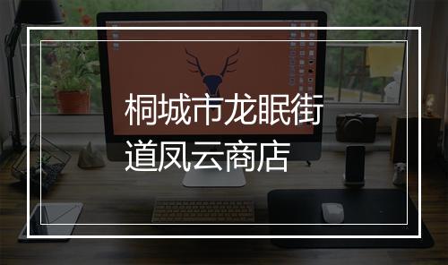 桐城市龙眠街道凤云商店