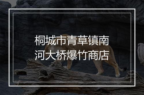 桐城市青草镇南河大桥爆竹商店