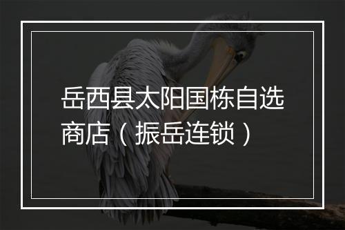 岳西县太阳国栋自选商店（振岳连锁）